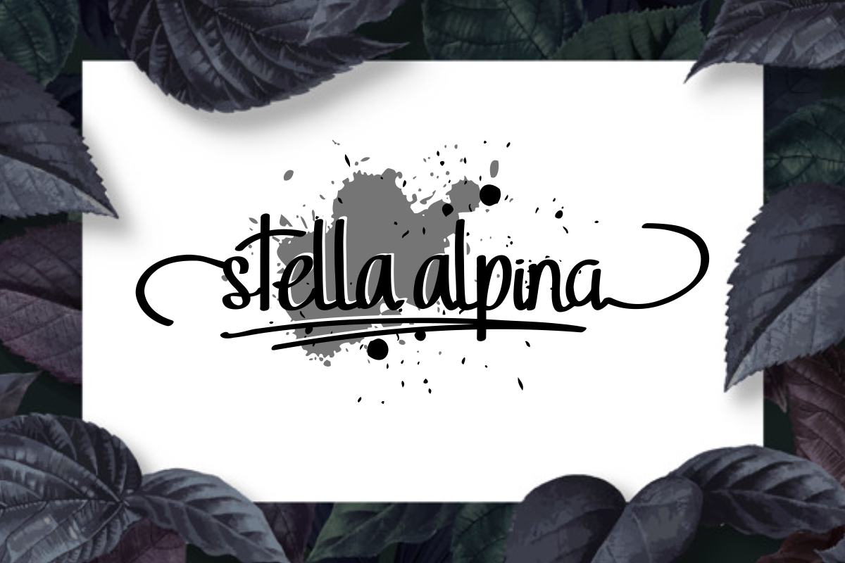 Stella Alpina font